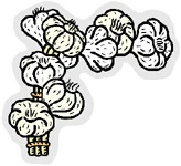 Image:Garlic_copy.jpg