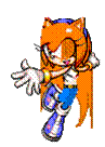 File:ShellyAdvance.gif