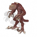 File:Oronusian_Elatti.png