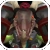 File:Winged_Xhodocto.png