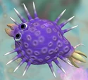 Puffish, a spiked, poisonous predator cell