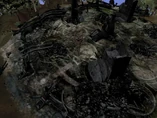 City Ruins