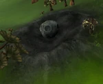 An asteroid