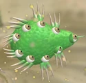 Bloato, an omnivore cell with cilia