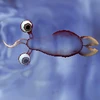 Kkroot