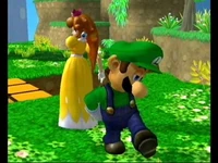 Peach in her Daisy alternate Costume, along with Luigi