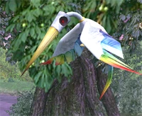 An Auroros in flight.