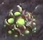 File:CreepTumor SC2 Game2.jpg