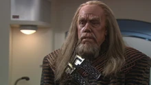 Antaak without cranial ridges.
