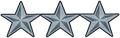 Insignia image.