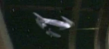 Ship image.