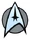 USS Enterprise operations assignment insignia.