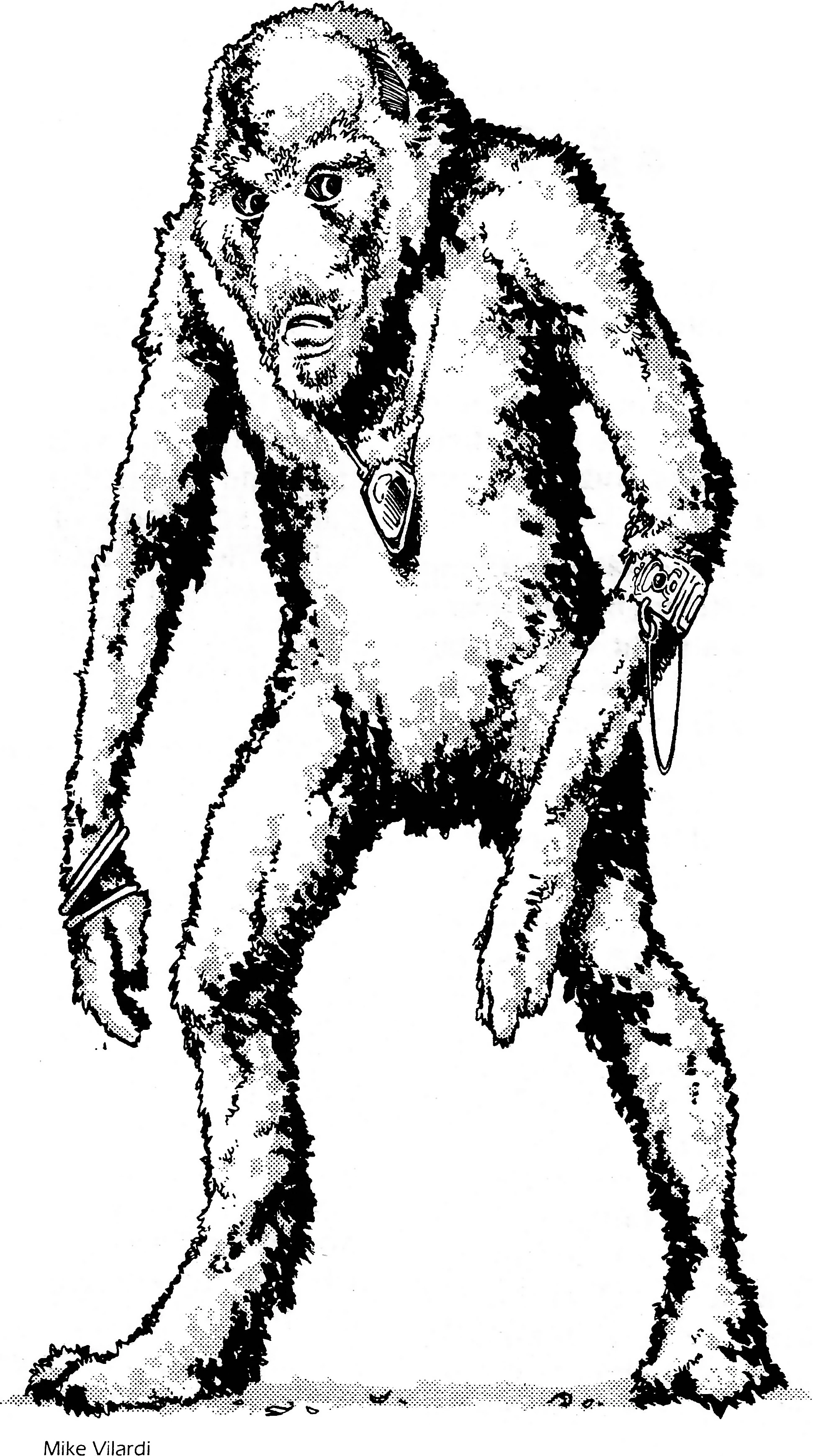 Image:Mshinni.jpg