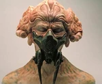 A model of Plo Koon without protective goggles.