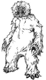Muftak.