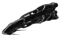 The Ferret was a small, fast recon vessel built as part of the New Class initiative.