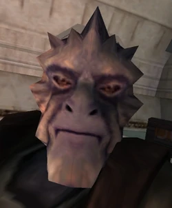 Vorkeesk