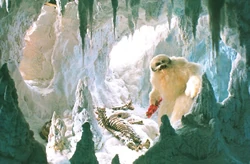 The rear of One-Arm's cave.