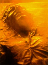 Han in Carbonite