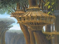 Wookiee woningen