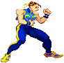 Street Fighter Alpha