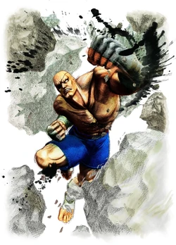 Sagat