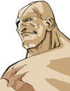 Sagat