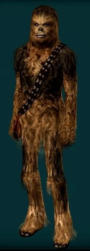 Chewbacca / Chewy