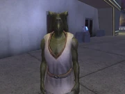 An Ishi Tib male.