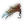 Shiny Granitour Carapace