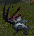 A Boargar