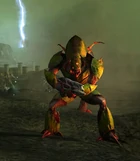 A Thrax Soldier