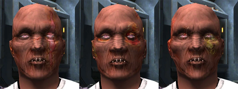 Image:ThraxxHybM.jpg