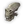 Thrax Skull
