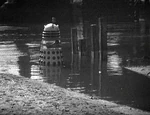 The Doctor and Ian meet an old adversary