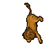 Image:Lion.gif
