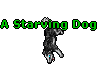 Image:A Starving Dog.gif