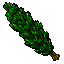 Image:Poplar.gif