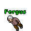 Image:Fergus.gif