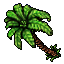 Image:Coconut Palm.gif
