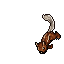 Image:Thieving Squirrel.gif