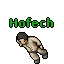 Image:Hofech.gif