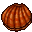 Large_Seashell.gif