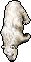 Image:Polar Bear.gif