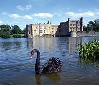 Top #4: the lovely Leeds Castle