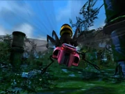 Why Oracle hate Waspinator?