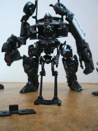 Now Frenzy Is Black!