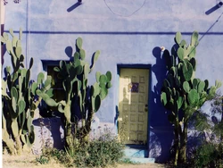 Arizonan style house in downtown Tucson, Arizona.