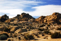 Huge boulders are plentiful in Joshua Tree National Park.