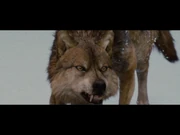 Seth during the confrontation